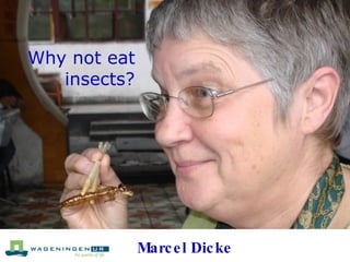 Why not eat  insects? Marcel Dicke  