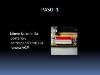 PASO 1    Localice el conector de alimentación de la tarjeta madre, e insértelo en el zócalo que corresponde.