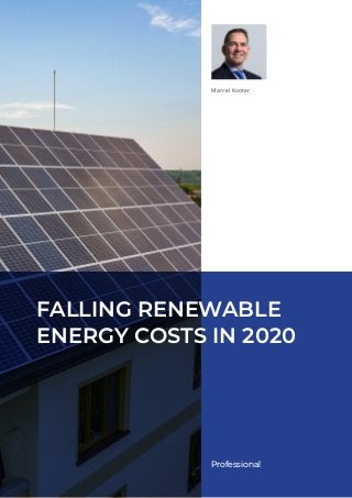 Professional
Marcel Kooter
FALLING RENEWABLE
ENERGY COSTS IN 2020
 