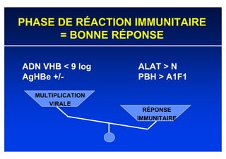 PHASE DE RÉACTION IMMUNITAIRE
      = BONNE RÉPONSE

ADN VHB < 9 log    ALAT > N
AgHBe +/-          PBH > A1F1

  MULTIPLICATION
     VIRALE
                     RÉPONSE
                   IMMUNITAIRE
 