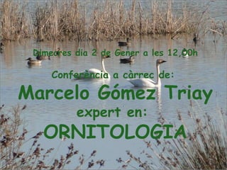 Dimecres dia 2 de Gener a les 12,00h Conferència a càrrec de:  Marcelo Gómez Triay expert en:  ORNITOLOGIA 