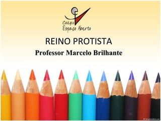 Professor Marcelo Brilhante REINO PROTISTA 
