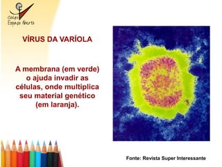 VÍRUS DA VARÍOLA



A membrana (em verde)
   o ajuda invadir as
células, onde multiplica
 seu material genético
      (em laranja).




                           Fonte: Revista Super Interessante
 