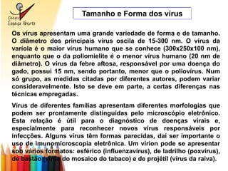 Tamanho e Forma dos vírus

Os vírus apresentam uma grande variedade de forma e de tamanho.
O diâmetro dos principais vírus oscila de 15-300 nm. O vírus da
varíola é o maior vírus humano que se conhece (300x250x100 nm),
enquanto que o da poliomielite é o menor vírus humano (20 nm de
diâmetro). O vírus da febre aftosa, responsável por uma doença do
gado, possui 15 nm, sendo portanto, menor que o poliovírus. Num
só grupo, as medidas citadas por diferentes autores, podem variar
consideravelmente. Isto se deve em parte, a certas diferenças nas
técnicas empregadas.
Vírus de diferentes famílias apresentam diferentes morfologias que
podem ser prontamente distinguidas pelo microscópio eletrônico.
Esta relação é útil para o diagnóstico de doenças virais e,
especialmente para reconhecer novos vírus responsáveis por
infecções. Alguns vírus têm formas parecidas, daí ser importante o
uso de imunomicroscopia eletrônica. Um vírion pode se apresentar
sob vários formatos: esférico (influenzavírus), de ladrilho (poxvírus),
de bastão (vírus do mosaico do tabaco) e de projétil (vírus da raiva).
 