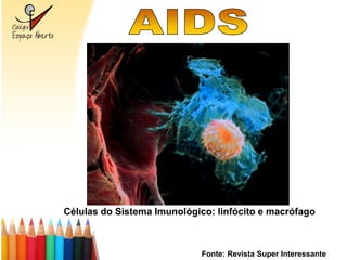 Células do Sistema Imunológico: linfócito e macrófago



                             Fonte: Revista Super Interessante
 