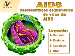 1- Cápsula
2- Enzimas
3- Capsídeo
4- RNA
 