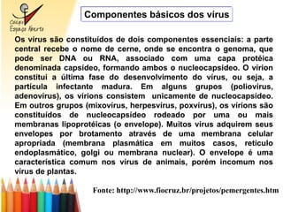 Componentes básicos dos vírus

Os vírus são constituídos de dois componentes essenciais: a parte
central recebe o nome de cerne, onde se encontra o genoma, que
pode ser DNA ou RNA, associado com uma capa protéica
denominada capsídeo, formando ambos o nucleocapsídeo. O vírion
constitui a última fase do desenvolvimento do vírus, ou seja, a
partícula infectante madura. Em alguns grupos (poliovírus,
adenovírus), os vírions consistem unicamente de nucleocapsídeo.
Em outros grupos (mixovírus, herpesvírus, poxvírus), os vírions são
constituídos de nucleocapsídeo rodeado por uma ou mais
membranas lipoprotéicas (o envelope). Muitos vírus adquirem seus
envelopes por brotamento através de uma membrana celular
apropriada (membrana plasmática em muitos casos, retículo
endoplasmático, golgi ou membrana nuclear). O envelope é uma
característica comum nos vírus de animais, porém incomum nos
vírus de plantas.

                    Fonte: http://www.fiocruz.br/projetos/pemergentes.htm
 
