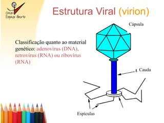 Estrutura Viral (virion)
                                       Cápsula



Classificação quanto ao material
genético: adenovírus (DNA),
retrovirus (RNA) ou ribovírus
(RNA)
                                           Cauda




                           Espículas
 
