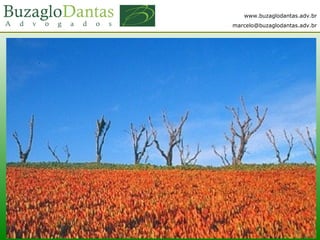 www.buzaglodantas.adv.br
marcelo@buzaglodantas.adv.br
 