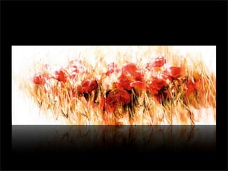 Marcelo De Angelis Oleos