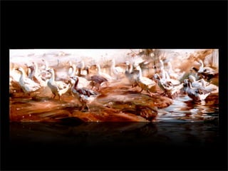 Marcelo De Angelis Oleos