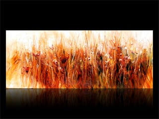 Marcelo De Angelis Oleos