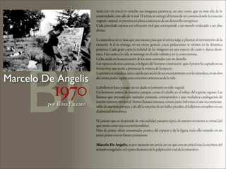 Marcelo De Angelis Oleos