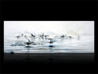 Marcelo De Angelis Oleos