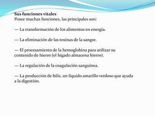 Sus funciones vitales
Posee muchas funciones, las principales son:

— La transformación de los alimentos en energía.
— La eliminación de las toxinas de la sangre.
— El procesamiento de la hemoglobina para utilizar su
contenido de hierro (el hígado almacena hierro).
— La regulación de la coagulación sanguínea.
— La producción de bilis, un líquido amarillo verdoso que ayuda
a la digestión.

 