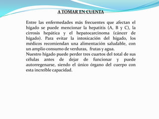 A TOMAR EN CUENTA
Entre las enfermedades más frecuentes que afectan el
hígado se puede mencionar la hepatitis (A, B y C), la
cirrosis hepática y el hepatocarcinoma (cáncer de
hígado). Para evitar la intoxicación del hígado, los
médicos recomiendan una alimentación saludable, con
un amplio consumo de verduras, frutas y agua.
Nuestro hígado puede perder tres cuartos del total de sus
células antes de dejar de funcionar y puede
autorregenarse, siendo el único órgano del cuerpo con
esta increíble capacidad.

 