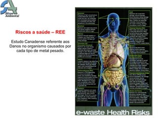 Riscos a saúde – REE
 Estudo Canadense referente aos
Danos no organismo causados por
    cada tipo de metal pesado.
 