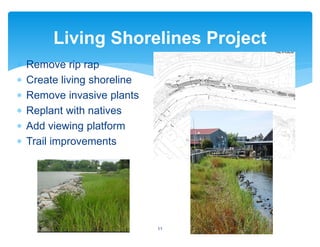 Living Shorelines Project
11
∗ Remove rip rap
∗ Create living shoreline
∗ Remove invasive plants
∗ Replant with natives
∗ Add viewing platform
∗ Trail improvements
 