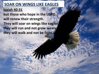 SOAR ON WINGS LIKE EAGLES
Isaiah 40:31
but those who hope in the LORD
will renew their strength.
They will soar on wings like eagles;
they will run and not grow weary,
they will walk and not be faint.
 