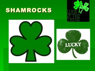 SHAMROCKS 