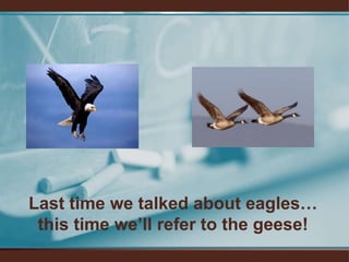 Last time we talked about eagles… this time we’ll refer to the geese!