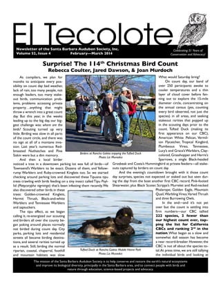Newsletter of the Santa Barbara Audubon Society, Inc.
Volume 52, Issue 4		 February—March 2014
Celebrating 51 Years of
Conservation and Advocacy!
The mission of the Santa Barbara Audubon Society is to help conserve and restore the earth’s natural ecosystems
and improve its biological diversity, principally in the Santa Barbara area, and to connect people with birds and
nature through education, science-based projects and advocacy.
As compilers, we plan for
months to anticipate every pos-
sibility on count day: bad weather,
lack of rain, too many people, not
enough leaders, too many stake-
out birds, communication prob-
lems, problems accessing private
property…anything that might
throw a wrench into a great count
day. But this year, in the weeks
leading up to the big day, our big-
gest challenge was: where are the
birds? Scouting turned up very
little. Birding was slow in all parts
of the count circle, and there was
no sign at all of a montane inva-
sion. Last year’s numerous Red-
breasted Nuthatches and Pine
Siskin were but a dim memory.
And then a local birder
noticed a tree in a downtown parking lot was full of birds—of
Townsend’s Warblers to be exact. Dozens of them, and Yellow-
rump Warblers and Ruby-crowned Kinglets too. So we started
checking around parking lots and discovered these Tipuana tipu
trees crawling with birds feeding on a tiny insect called Tipu Psyl-
lid (Platycorypha nigrivirga) that’s been infesting them recently.We
also discovered other birds in these
trees: Golden-crowned Kinglets,
Hermit Thrush, Black-and-white
Warblers and Tennessee Warblers
and sapsuckers.
The tipu effect, as we began
calling it, re-energized our scouting
and birders all over the county be-
gan poking around places normally
not birded during count day. City
parks, parking lots and residential
streets all became birding destina-
tions, and several rarities turned up
as a result. Still, birding the normal
riparian, coastal, chaparral, foothill
and mountain habitats was slow.
What would Saturday bring?
On count day, our band of
over 250 participants awoke to
cooler temperatures and a thin
layer of cloud cover before fan-
ning out to explore the 15-mile
diameter circle, concentrating on
the annual census (yes, counting
every bird observed, not just the
species) in all areas, and seeking
stakeout rarities that popped up
in the scouting days prior to the
count. Tufted Duck (making its
first appearance on our CBC),
American White Pelican, Vermil-
ion Flycatcher, Tropical Kingbird,
Plumbeous Vireo, Tennessee,
Lucy’s and Grace’sWarblers, Clay-
colored,Grasshopper and Harris’s
Sparrows, a single Black-headed
Grosbeak and Costa’s Hummingbird at private feeders—all stake-
outs captured by birders on count day.
And the evening’s countdown brought with it those count
day surprises, species not expected or staked out but seen dur-
ing the day: from the boat another first CBC record, Pink-footed
Shearwater, plus Black Scoter, Scripps’s Murrelet and Red-necked
Phalarope; Golden Eagle, Mountain
Quail,Warbling Vireo,Varied Thrush
and three Burrowing Owls.
In the end—and it’s not yet
over but the count is settling into
firm numbers—our CBC tallied
222 species, 2 fewer than
our highest count ever, top-
ping the list for California
CBCs and ranking 2nd
in the
nation.What began as a slow and
somewhat dull season has become
a near record-breaker. However, the
CBC is not all about the species to-
tal.At press time, we are still tallying
the individual birds and looking at
Surprise! The 114th
Christmas Bird Count
Rebecca Coulter, Jared Dawson, & Joan Murdoch
Birders at Rancho Goleta enjoying theTufted Duck
Photo: Liz Muraoka
Tufted Duck at Rancho Goleta Mobile Home Park
Photo: Liz Muraoka
 