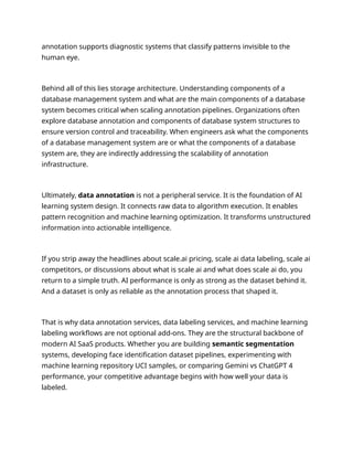 What Is Data Annotation? The Real Infrastructure Behind AI Model ...