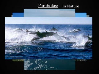 Parabolas: ...In Nature
 