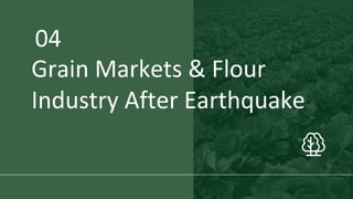 Effects of War and Earthquake on Grain Sector 