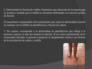6. Deformidad en flexión de rodilla: Determina una alteración de la marcha que
se acentúa a medida que la rodilla se encuentre deformada con mayores grados
de flexión
El mecanismo compensador del acortamiento que causa la deformidad consiste
en caminar con el tobillo en plantiflexion y flexión de cadera.
7. Pie equino: corresponde a la deformidad en plantiflexion que obliga a la
persona a apoyar el ante pie durante la marcha. Si no existe acortamiento de la
extremidad afectada, la persona compensa el alargamiento relativo con flexión
de la articulación de cadera y rodilla.
 