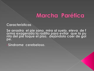 Marcha  Parética  Características Se arrastra  el pie sano, mira al suelo, eleva  de forma exagerada la rodilla para evitar  que la punta del pie toque el piso,  dejándolo caer de golpe. Síndrome  cerebeloso. SindromecerebelosoVascular: HemorragiaTumores: MetastasisTraumatismo: HematomaToxica: drogaso alcoholInfecciosa: tuberculomasDegenerativas: Esclerosis multipleMalformacion: vasculares