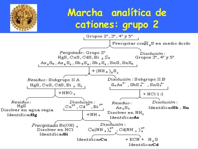 Marcha analitica