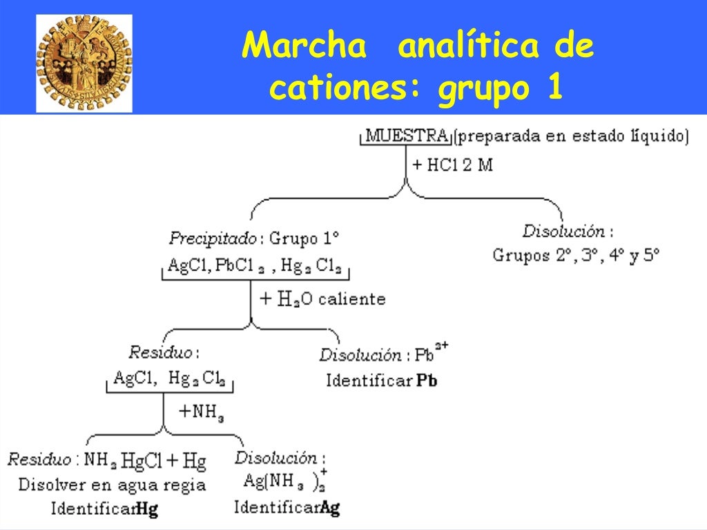 Marcha analitica