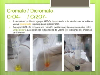 Cro4 Color Marcha analitica cationes iv anfoteros y aniones iv y oxidantes.pptx