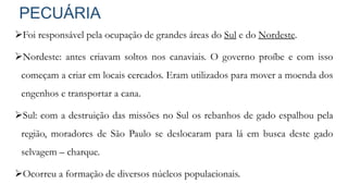 PECUÁRIA
Foi responsável pela ocupação de grandes áreas do Sul e do Nordeste.
Nordeste: antes criavam soltos nos canaviais. O governo proíbe e com isso
começam a criar em locais cercados. Eram utilizados para mover a moenda dos
engenhos e transportar a cana.
Sul: com a destruição das missões no Sul os rebanhos de gado espalhou pela
região, moradores de São Paulo se deslocaram para lá em busca deste gado
selvagem – charque.
Ocorreu a formação de diversos núcleos populacionais.
 