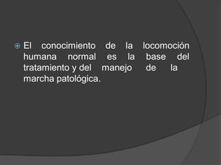  El conocimiento de la locomoción
humana normal es la base del
tratamiento y del manejo de la
marcha patológica.
 