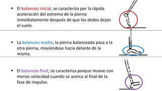  El balanceo inicial, se caracteriza por la rápida
aceleración del extremo de la pierna
inmediatamente después de que los dedos dejan
el suelo.
 La balanceo medio, la pierna balanceada pasa a la
otra pierna, moviéndose hacia delante de la
misma.
 El balanceo final, se caracteriza porque mueve con
menos velocidad cuando se acerca al final de la
fase de impulso.
 