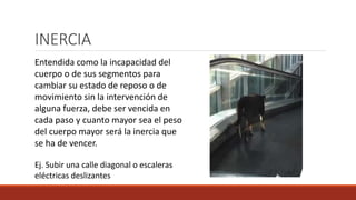 INERCIA
Entendida como la incapacidad del
cuerpo o de sus segmentos para
cambiar su estado de reposo o de
movimiento sin la intervención de
alguna fuerza, debe ser vencida en
cada paso y cuanto mayor sea el peso
del cuerpo mayor será la inercia que
se ha de vencer.
Ej. Subir una calle diagonal o escaleras
eléctricas deslizantes
 