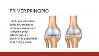 Una buena alineación
de las extremidades
inferiores para reducir
la fricción en las
articulaciones y
disminuir la posibilidad
de tensión y lesión.
PRIMER PRINCIPIO
 