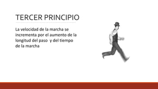 La velocidad de la marcha se
incrementa por el aumento de la
longitud del paso y del tiempo
de la marcha
TERCER PRINCIPIO
 