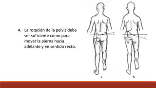 4. La rotación de la pelvis debe
ser suficiente como para
mover la pierna hacia
adelante y en sentido recto.
 