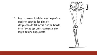 5. Los movimientos laterales pequeños
ocurren cuando los pies se
desplazan de tal forma que su borde
interno cae aproximadamente a lo
largo de una línea recta
 
