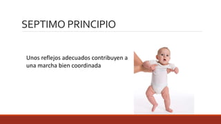 Unos reflejos adecuados contribuyen a
una marcha bien coordinada
SEPTIMO PRINCIPIO
 