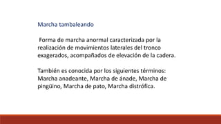 Marcha tambaleando
Forma de marcha anormal caracterizada por la
realización de movimientos laterales del tronco
exagerados, acompañados de elevación de la cadera.
También es conocida por los siguientes términos:
Marcha anadeante, Marcha de ánade, Marcha de
pingüino, Marcha de pato, Marcha distrófica.
 