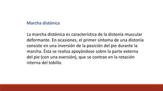 Marcha distónica
La marcha distónica es característica de la distonía muscular
deformante. En ocasiones, el primer síntoma de una distonía
consiste en una inversión de la posición del pie durante la
marcha. Ésta se realiza apoyándose sobre la parte externa
del pie (con una eversión), que se contrae en la rotación
interna del tobillo.
 