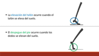  La elevación del talón ocurre cuando el
talón se eleva del suelo.
 El despegue del pie ocurre cuando los
dedos se elevan del suelo.
 