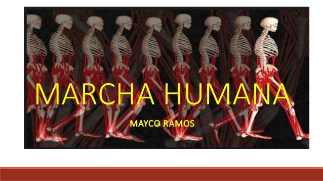 Marcha humana