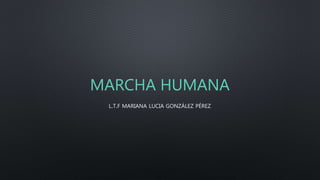 MARCHA HUMANA
L.T.F MARIANA LUCIA GONZÁLEZ PÉREZ
 