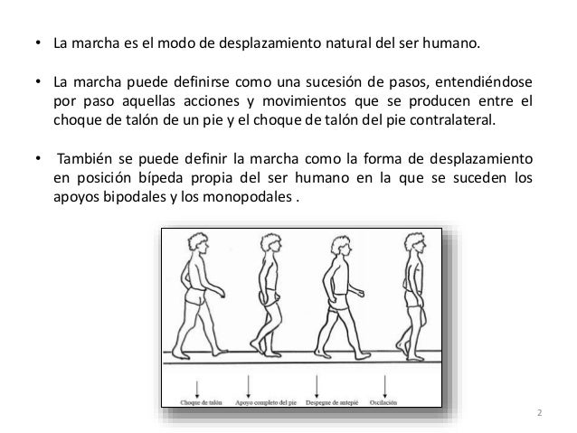 Marcha humana