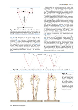 Marcha normal

0%

n
Cabe se˜ alar que los movimientos del tobillo están
coordinados por los de la rodilla. Durante la carga (entre
el 0 y el 15%) y el impulso hacia delante (entre el 50 y el
65%), la rodilla se dispone en ﬂexión y el tobillo, en extensión. La combinación de movimientos permite reducir la
desaceleración brusca del COM al principio del apoyo y
su aceleración al ﬁnal de la fase de apoyo.
Además de la nivelación de la trayectoria de la pelvis en
el plano sagital, también se produce una nivelación de la
trayectoria de la pelvis en el plano transversal. En este sentido, para mantenerse en equilibrio postural, es necesario
que el COM sea vertical a la base de sustentación. Durante
el paso de la bipedestación a la postura unipodal, el COM
debe desviarse lateralmente para caer en sentido vertical
sobre el pie de sustentación (Fig. 34A). El genu valgum
ﬁsiológico permite reducir la anchura de la base de sustentación de los pies en el suelo; el ángulo tibiofemoral
en el plano frontal desvía el fémur hacia dentro y aproxima los segmentos tibiales a la línea media, Por eso, el
desplazamiento lateral del COM durante el paso en posición unipodal es menor con genu valgum que sin éste
(Fig. 35B, C).
En la marcha, el desplazamiento lateral del cuerpo permite acercar el centro de masa a la base de sustentación
(Fig. 36). A velocidades intermedias, la pelvis se desvía a la
izquierda en el momento del ataque del talón derecho. Se
desplaza hacia la derecha durante la fase de doble apoyo
y la primera parte de la fase de apoyo simple. Adopta
una posición neutra en torno al 20% del ciclo y alcanza
una amplitud máxima (de alrededor de 1-2 cm) hacia el
40%. A continuación, la pelvis se desvía en la dirección
contraria. Recupera la posición neutra cerca del 70% del
ciclo y alcanza su desviación máxima al ﬁnal de la fase de
balanceo (alrededor del 90% del ciclo).

50 %

L

D

G

Figura 33. Efecto de la ﬂexión de la rodilla sobre el movimiento vertical del centro de masa corporal (COM). La curva en
trazos continuos representa la trayectoria del COM sin ﬂexión de
la rodilla (idéntica a la curva en trazo continuo de la Figura 32).

(Fig. 34A). El a˜ adido de un pie con un tobillo ﬁjo pern
mite hacer girar la tibia en torno a dos centros de rotación
distintos (Fig. 34B): el talón en la primera parte de la fase
de apoyo y la cabeza de los metatarsianos en la segunda
parte. Esto permite dividir el arco de círculo en dos arcos
n
más peque˜ os. La presencia de un tobillo móvil (Fig. 34C)
n
permite a˜ adir un tercer centro de rotación en la mitad
del apoyo y dividir el arco en tres partes. Durante el apoyo,
el eje de rotación pasa gradualmente del retropié al antepié, nivelando la trayectoria de la rodilla y, por tanto, del
COM.

A

Figura 34.

E – 26-007-B-75

C

B

Trayectoria de la rodilla sin la presencia de un pie (A), con un pie ﬁjo (B) y con una articulación del tobillo (C).

Figura 35.
A. Para mantener el equilibrio estático, el centro
de masa corporal debe
estar en la vertical del pie.
B. El valgo de las rodillas permite reducir la
anchura de la base de
sustentación.
C. Posición de los pies
en el suelo en la bipedestación, si las rodillas no
estuvieran en valgo.

A

EMC - Kinesiterapia - Medicina física

B

C

19

 